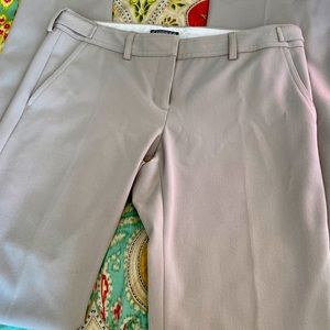 Express columnist dress pant